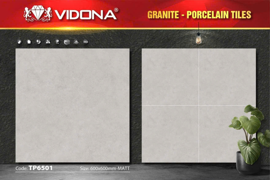 VIDONA TP 6501